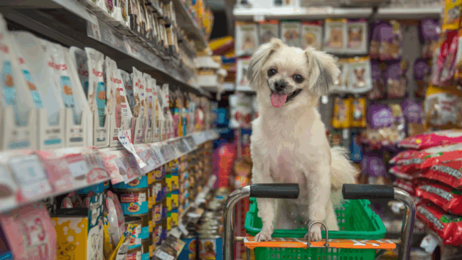 Mejores tiendas en línea de mascotas en Argentina