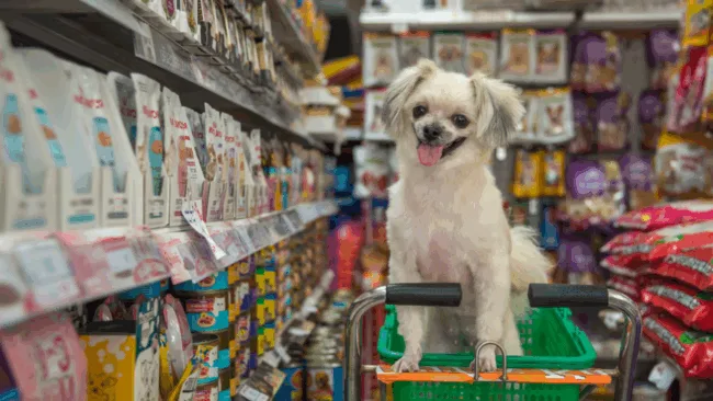 Mejores tiendas en línea de mascotas en Argentina
